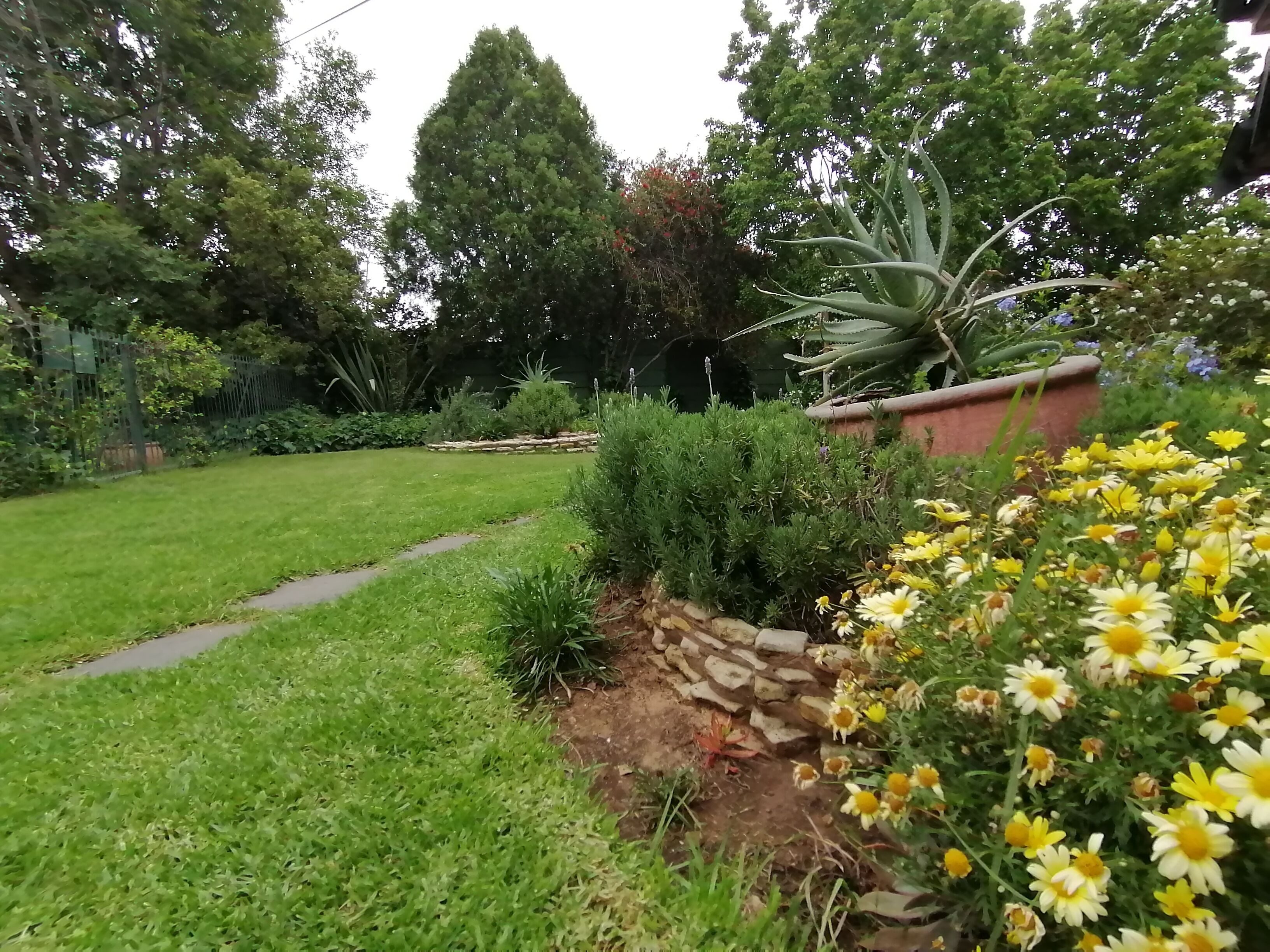 Un jardín con muro de piedra, césped y diversas plantas y flores.