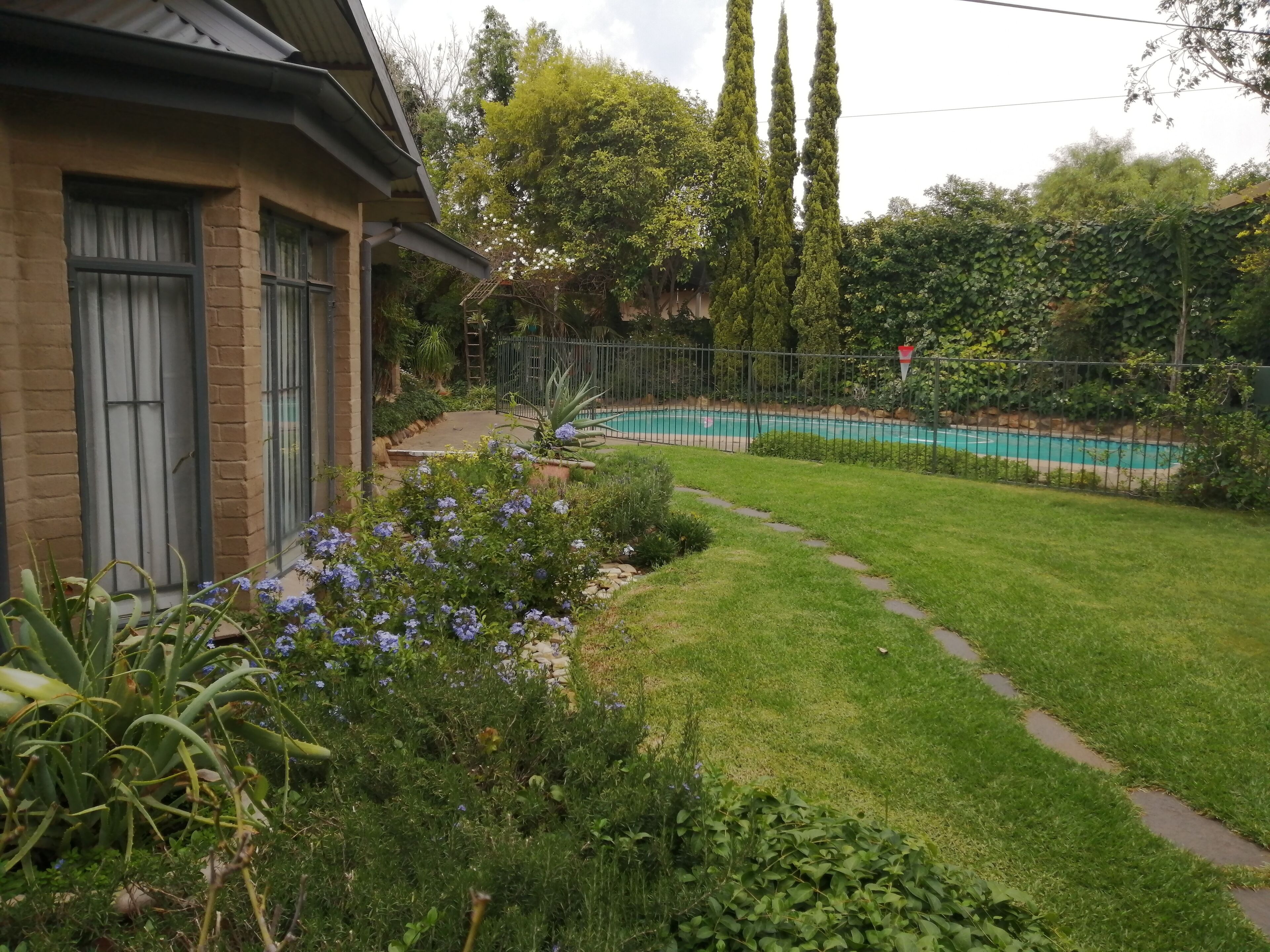 A residential backyard with a swimming pool, a lawn, and a variety of plants.