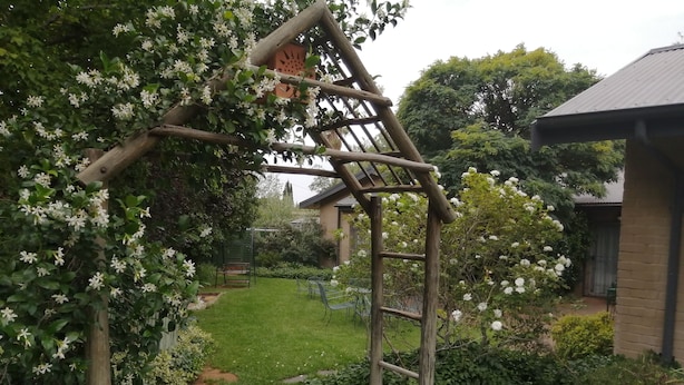 En træpergola med slyngplanter og hvide blomster, en stié af brosten og en græsplæne med bænk og bord.