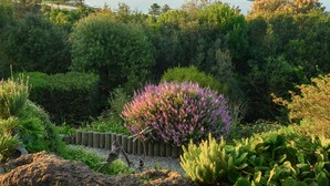 Un jardín con diversas plantas y una valla de madera.