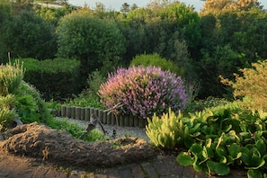 Garden - Paradise Found (Knysna)