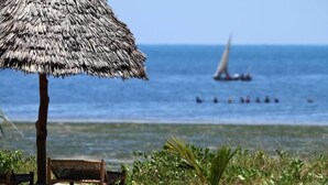 Eine Strandansicht mit einem Reetdachschirmchen, einer Holzbank und einem Segelboot im Hintergrund.