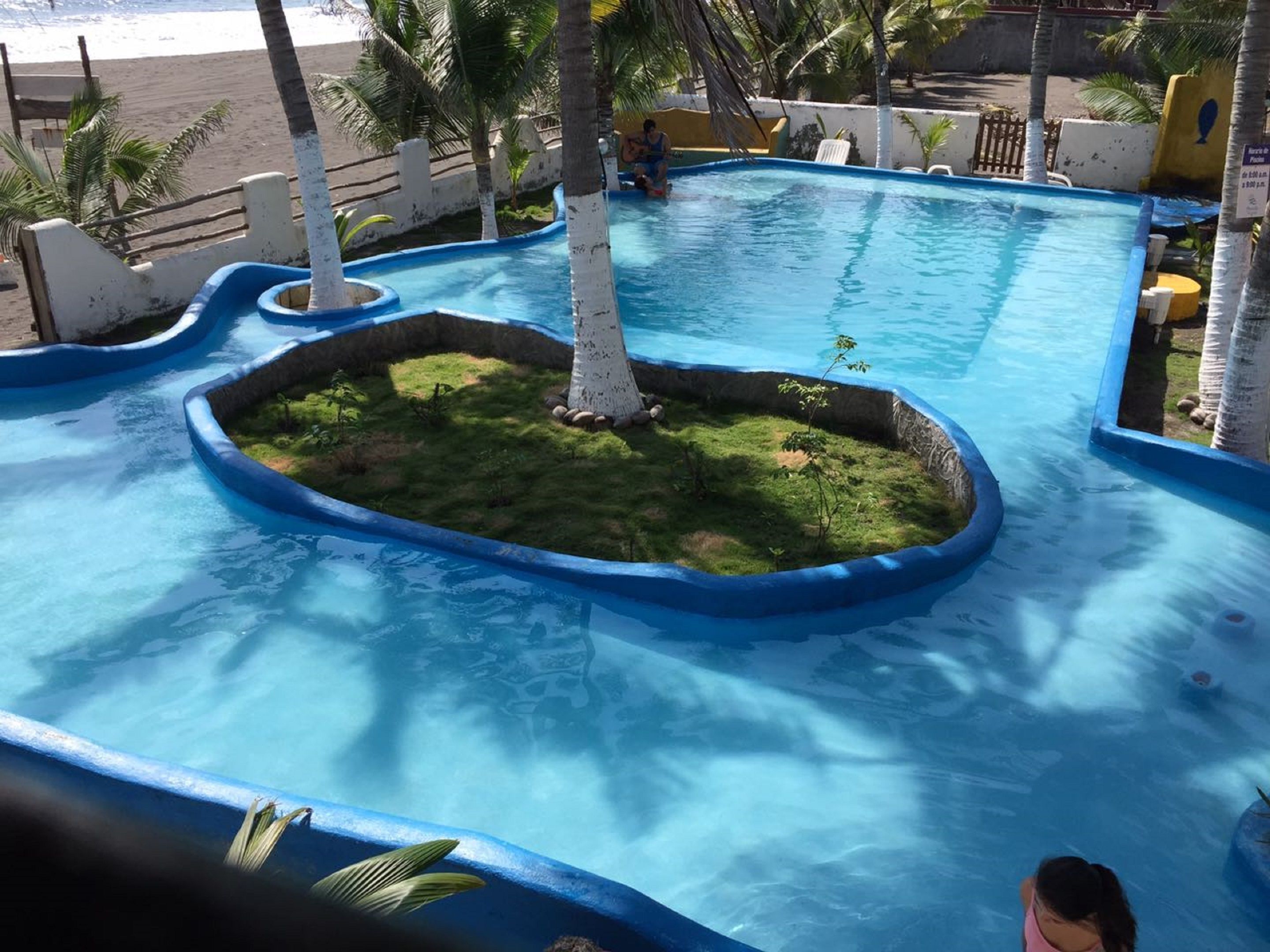 A swimming pool with a central grassy area and palm trees.