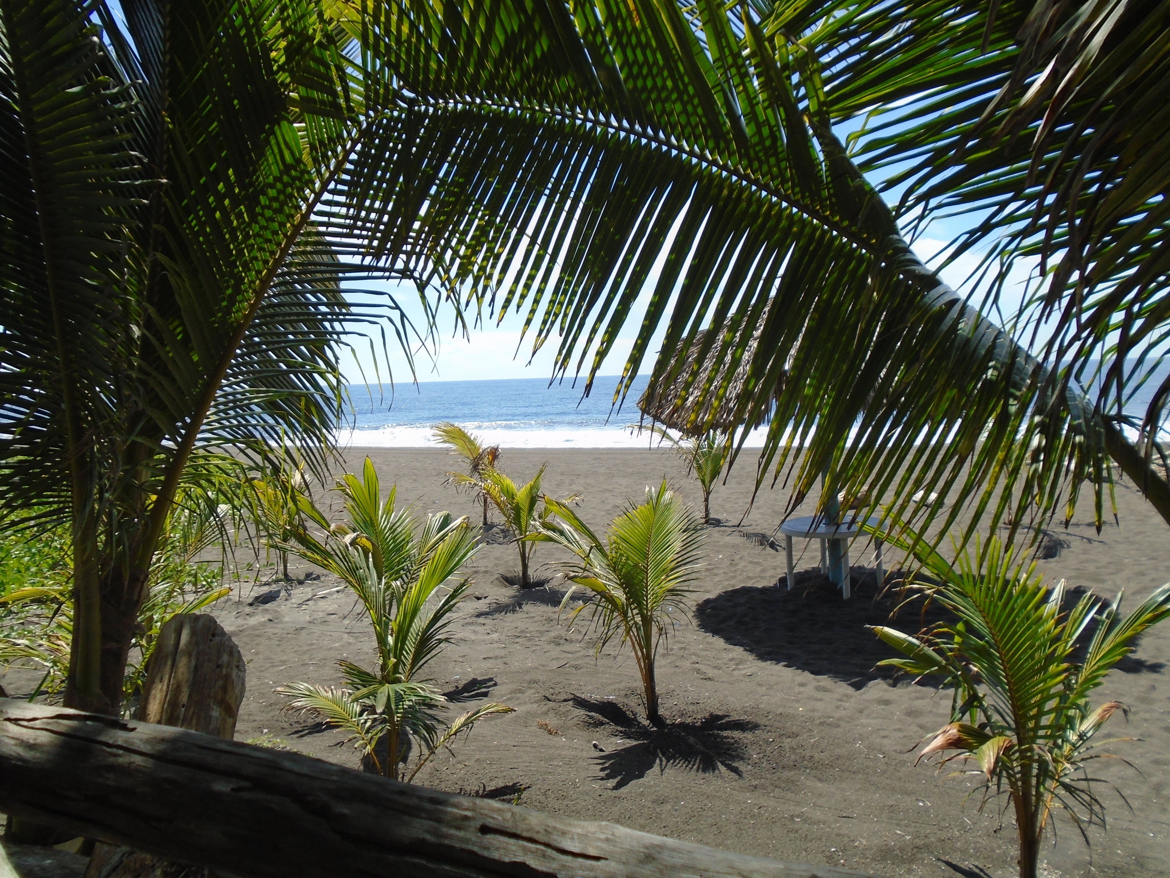 Praia particular, areia preta, barracas de praia de cortesia 
