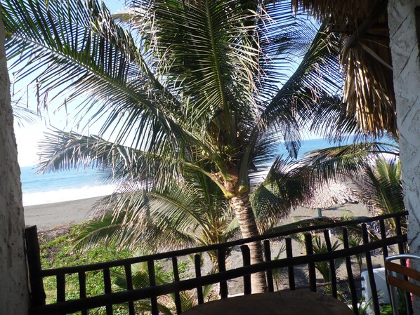 Vista de una playa con palmeras y una barandilla.
