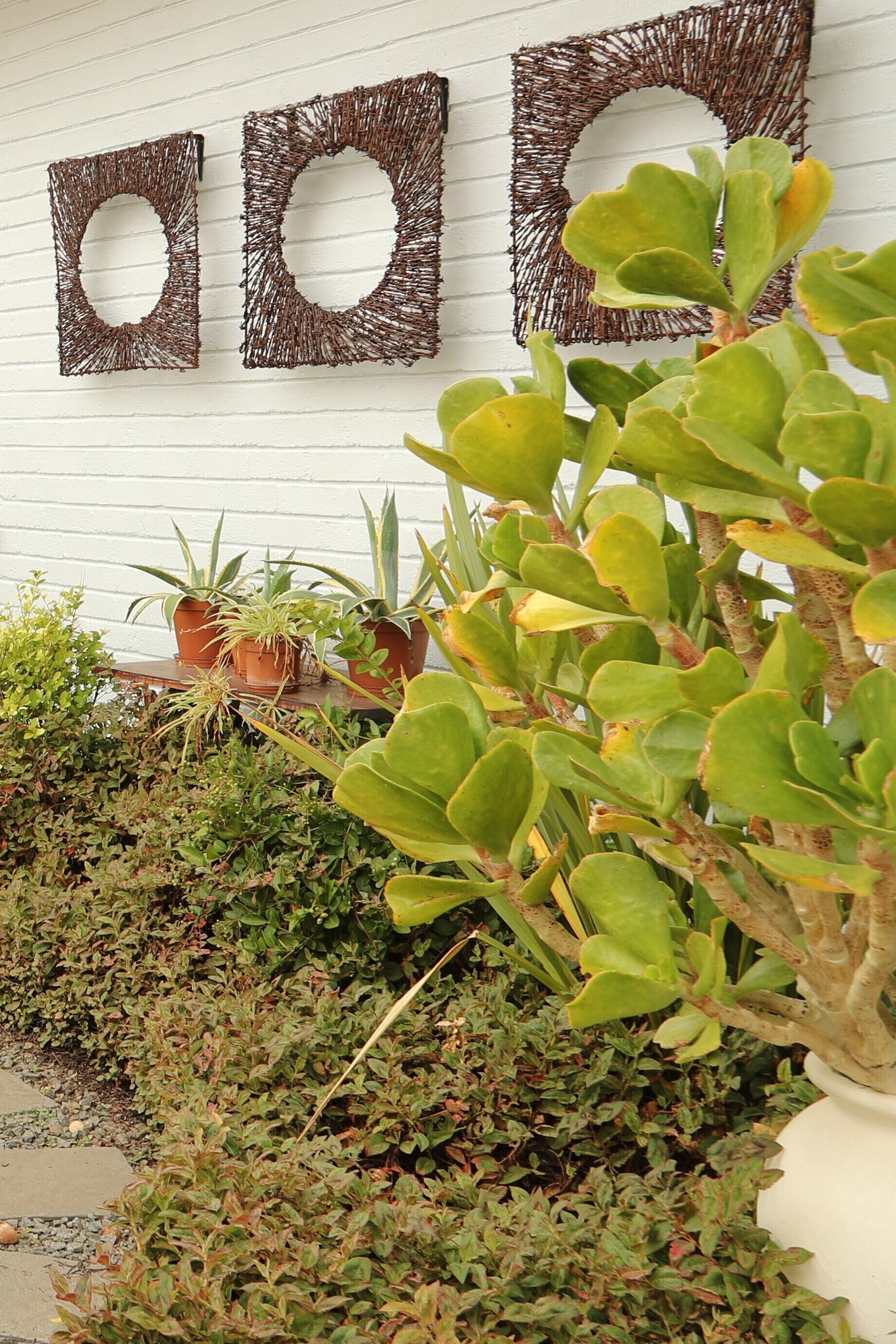 A garden area with potted plants and decorative wicker wall art.