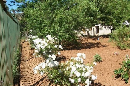 Jardín