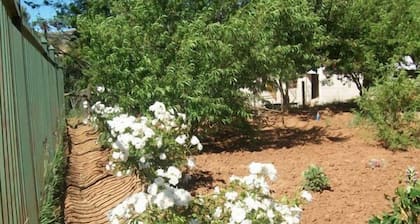 Aligeo Guest House