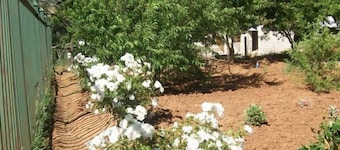 Aligeo Guest House