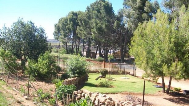 A fenced outdoor area with trees and a grassy lawn. - Aligeo Guest House (Senqu)