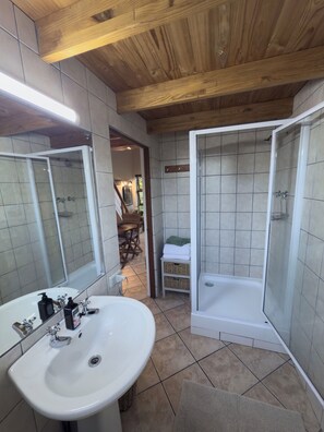 Standard-Apartment, 1 Schlafzimmer | Dusche im Bad
