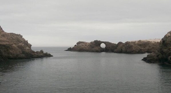 A coastal landscape with rocky formations and a calm sea. - Camana Beach House (Samuel Pastor)