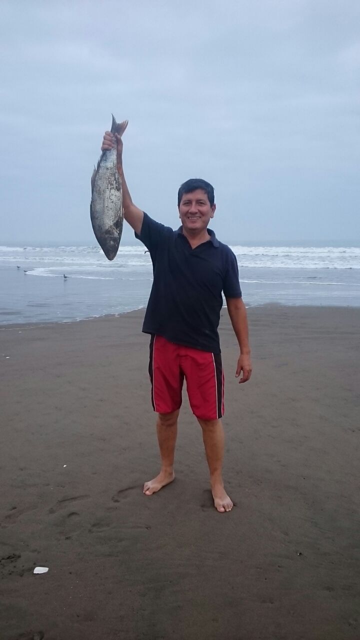 Una persona de pie en una playa arenosa sosteniendo un pez.
