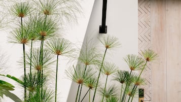 Standard Twin Room Garden View | Garden view