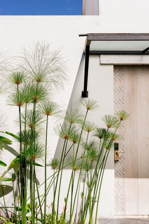 Standard Twin Room Garden View | Garden view