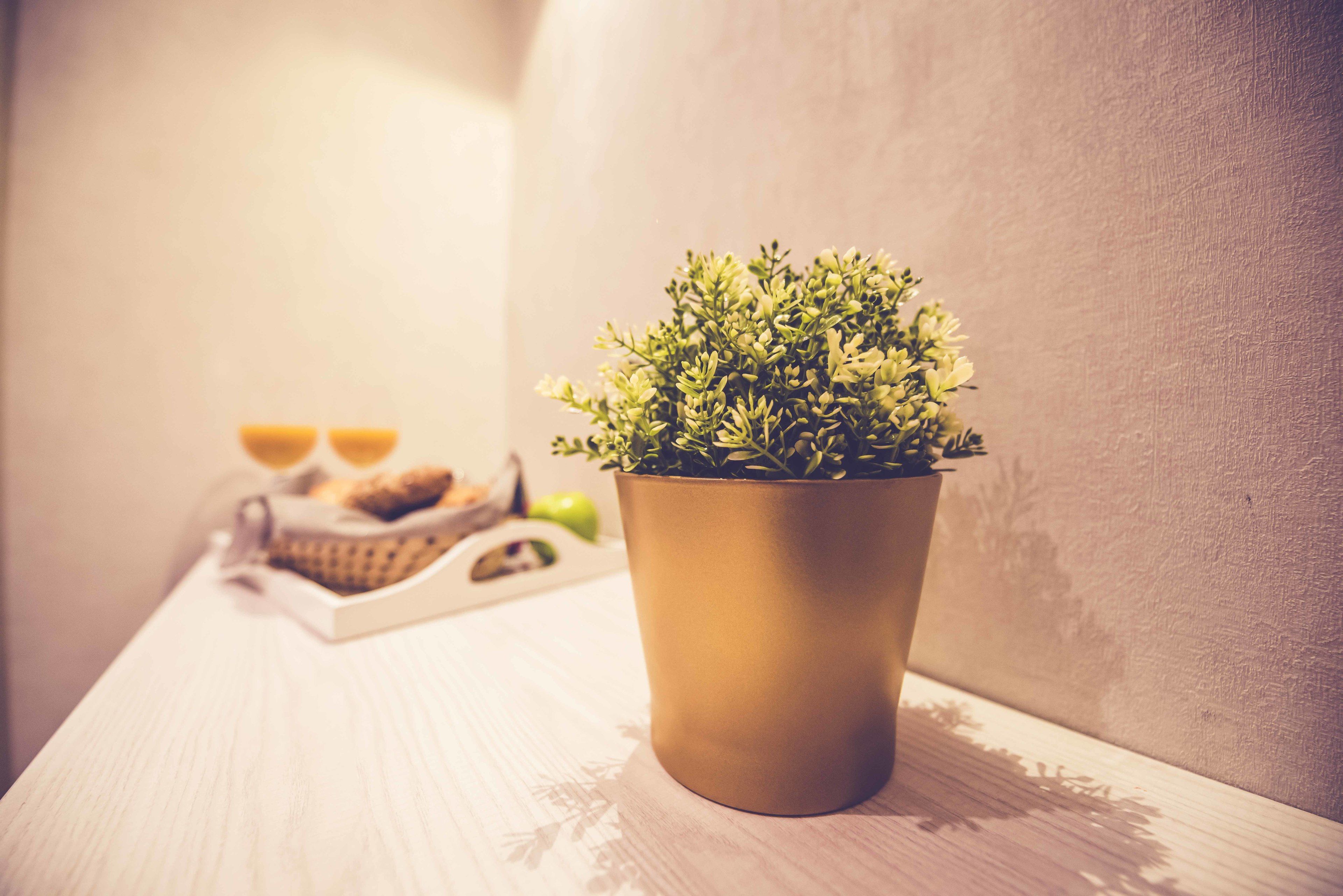 Photo - Hostal Lisboa