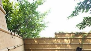 Una piscina pequeña y transparente con una valla de bambú y una terraza de madera.