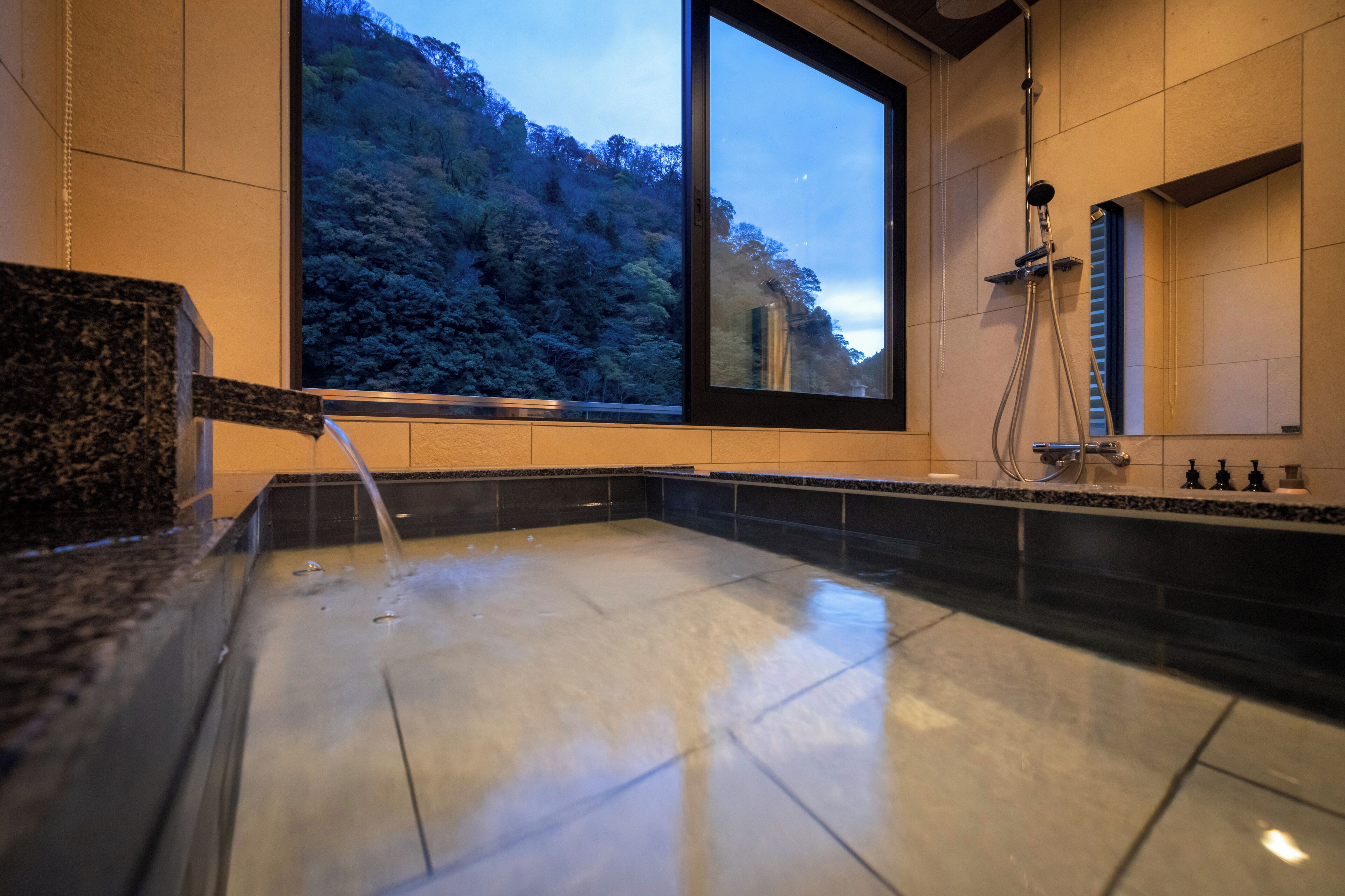 Family Suite | Bathroom