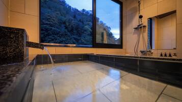 Family Suite | Bathroom