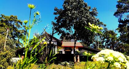 Morning Glory Inn