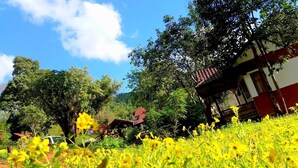 A rural setting with a house surrounded by lush greenery and yellow flowers. - Morning Glory Inn (Kalaw)
