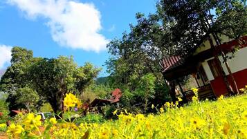 Jardin