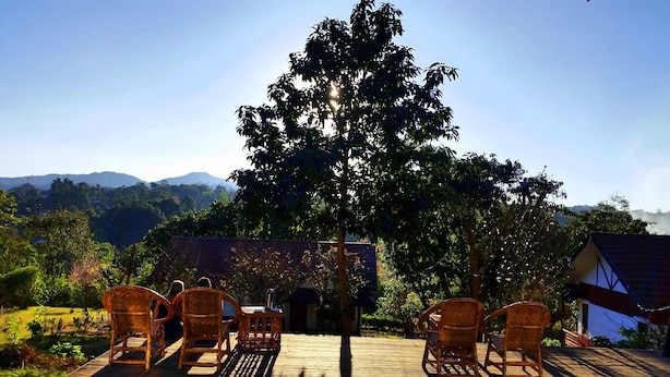 A wooden deck with wicker chairs, a large tree in the center, and a mountain backdrop. - Morning Glory Inn (Kalaw)