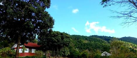 Paisagem rural com uma casa de telhado vermelho e paredes brancas, cercada por vegetação exuberante e colinas ao fundo.