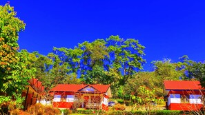 Un pueblo rural con casas tradicionales, cielo azul despejado y vegetación exuberante.