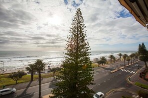 A coastal road with a view of the ocean and a tall pine tree in the foreground.