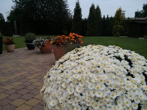 Ferienwohnung an Pfaffensee