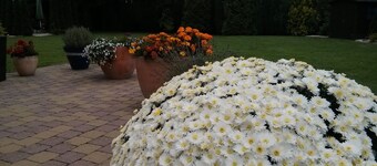 Ferienwohnung an Pfaffensee