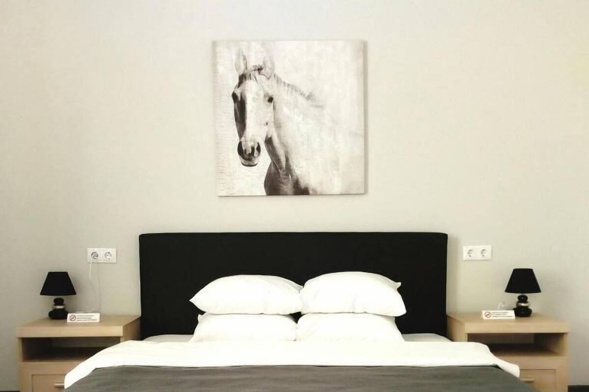 A hotel room with a bed, two nightstands, a black headboard, and a wall-mounted artwork of a horse.