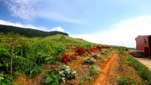 Paisatge rural amb un camí de terra, vegetació verda i un edifici vermell.