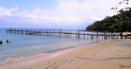 Jelly Fish Bungalow