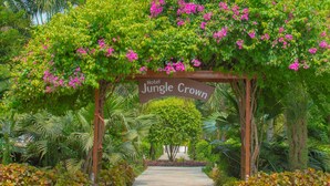 Arcada de madeira com o texto "Hotel Jungle Crown" em meio a vegetação exuberante e flores cor-de-rosa.