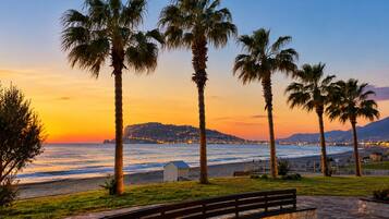 A coastal scene with palm trees, a beach, and a distant mountain range.
