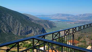 Vista desde la habitación