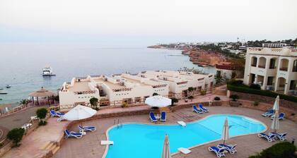 Sharks Bay Oasis Apartments - Adults Only