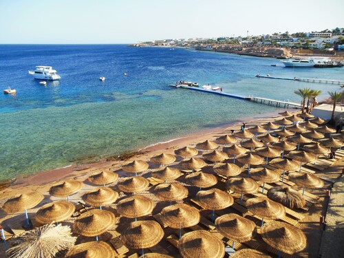 Sharks Bay Oasis Apartments - Adults Only