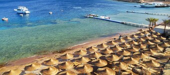 Sharks Bay Oasis Apartments - Adults Only