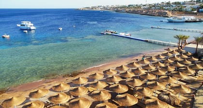 Sharks Bay Oasis Apartments - Adults Only