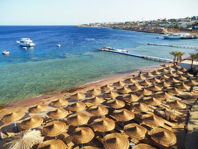 Sharks Bay Oasis Apartments - Adults Only