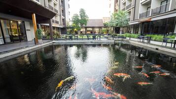 Suite (No Breakfast) | Vista do quarto