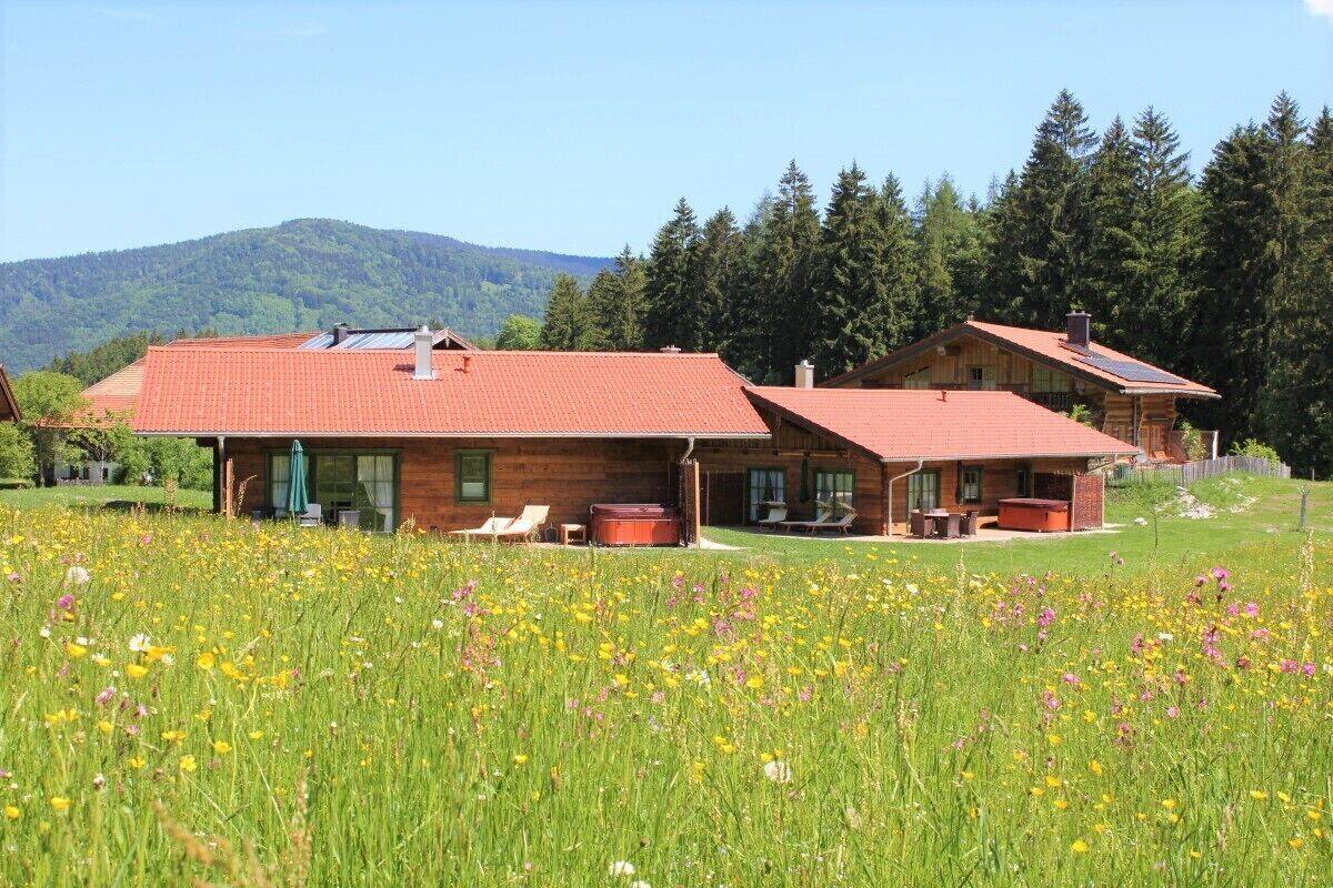 Eine Holzhütte mit rotem Dach, umgeben von einem Feld mit Wildblumen, mit einem Berg im Hintergrund.