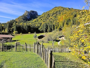 Ulkopuoli
