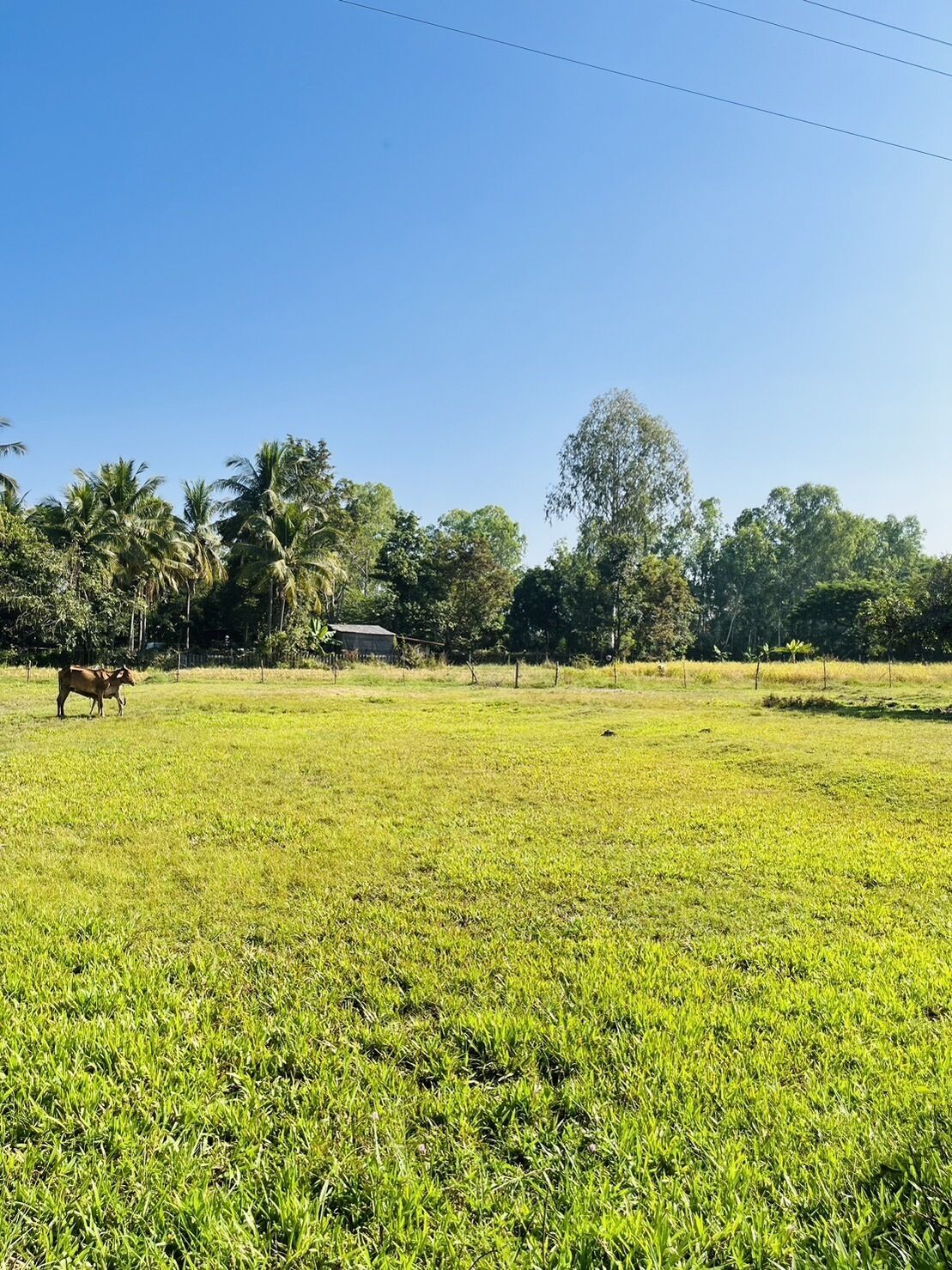 land view from property