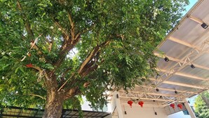 A tree-lined entrance with a covered patio area, a building with a glass door, and a sign that reads "I ♥ U". - Bualinn Resort Nongkhai (Nong Khai)