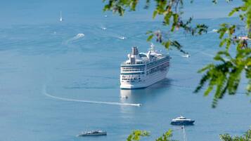 Un gran crucero en el agua, con botes más pequeños a su alrededor.