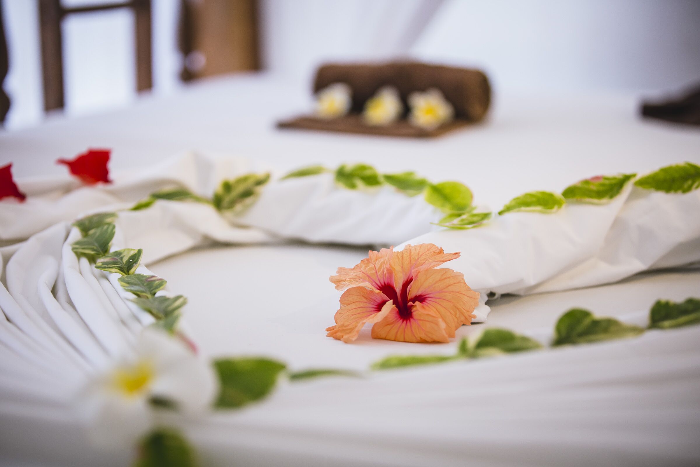 Foto - Moonshine Uroa Boutique Hotel